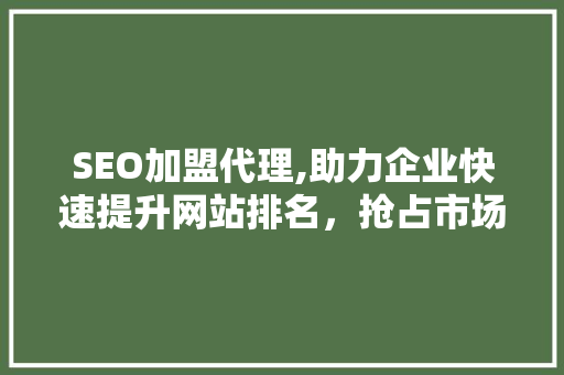 SEO加盟代理,助力企业快速提升网站排名，抢占市场先机