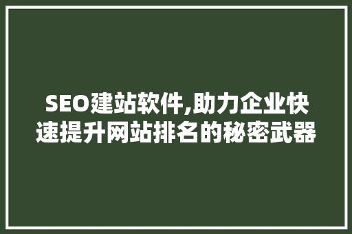 SEO建站软件,助力企业快速提升网站排名的秘密武器  第1张