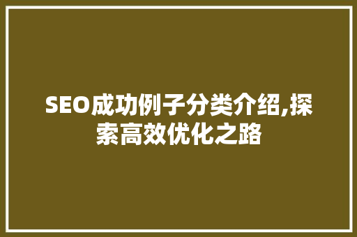 SEO成功例子分类介绍,探索高效优化之路